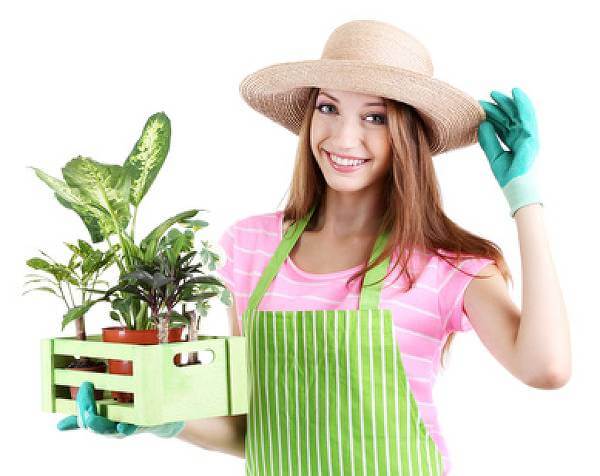 Wineflowers.com e i suoi partners